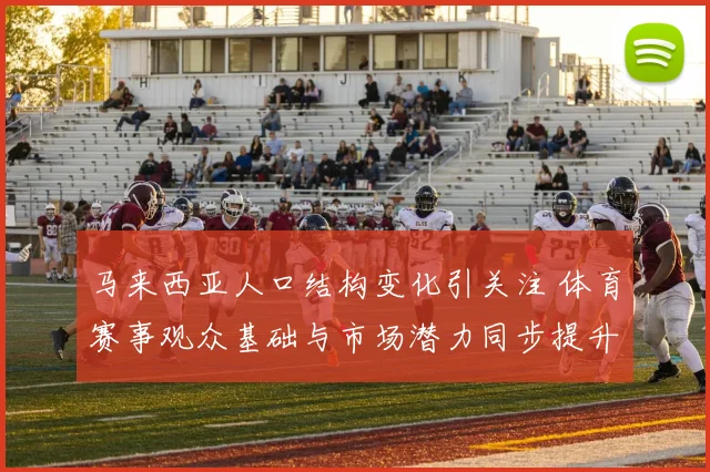 马来西亚人口结构变化引关注 体育赛事观众基础与市场潜力同步提升