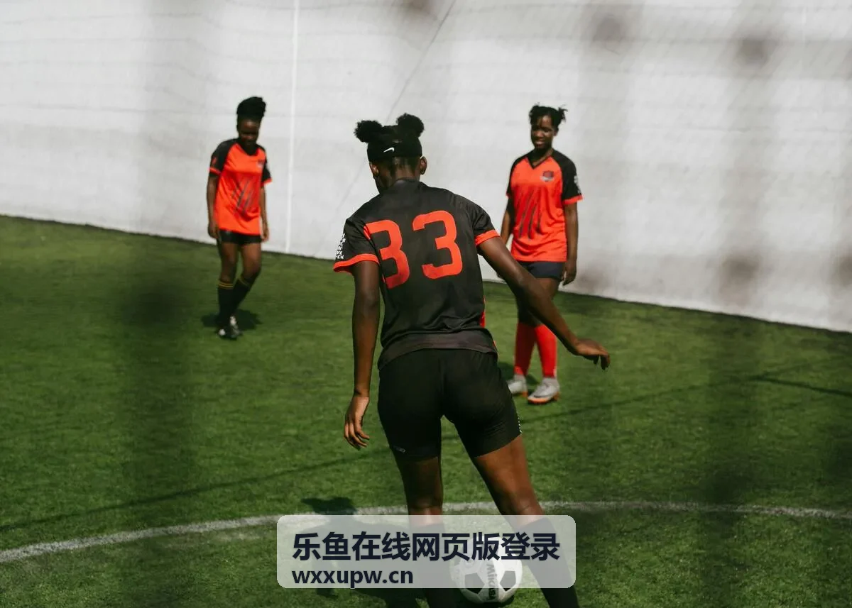 乐鱼在线平台资讯封面