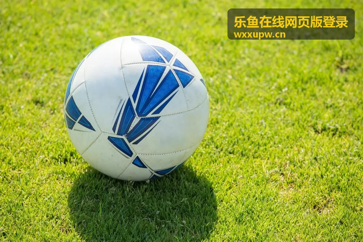 乐鱼在线官网首页展示