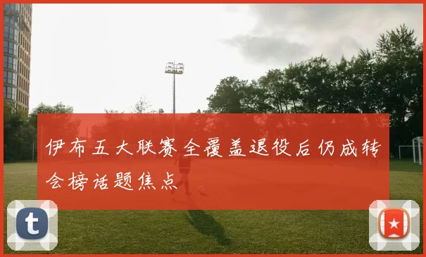 伊布五大联赛全覆盖退役后仍成转会榜话题焦点