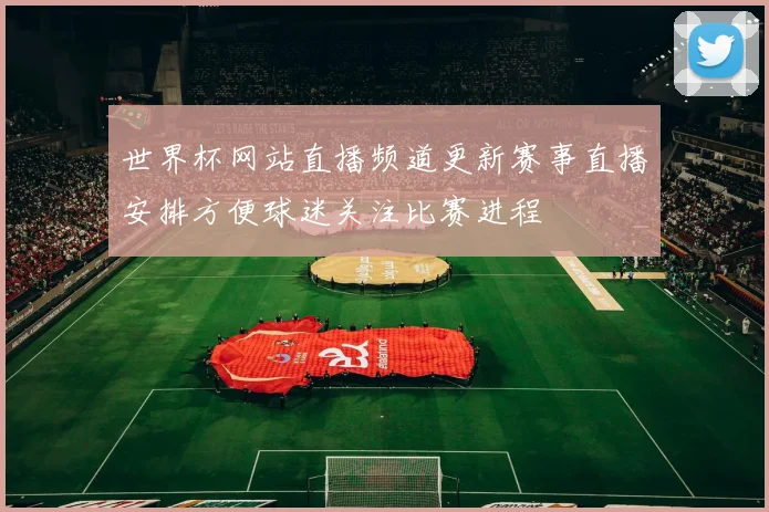 世界杯网站直播频道更新赛事直播安排方便球迷关注比赛进程