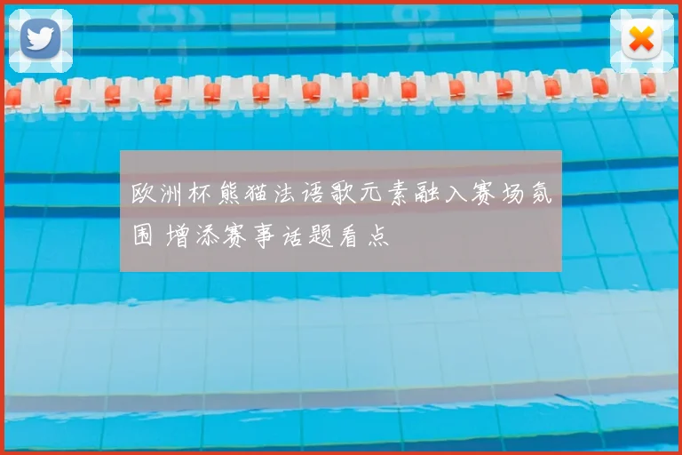 欧洲杯熊猫法语歌元素融入赛场氛围 增添赛事话题看点