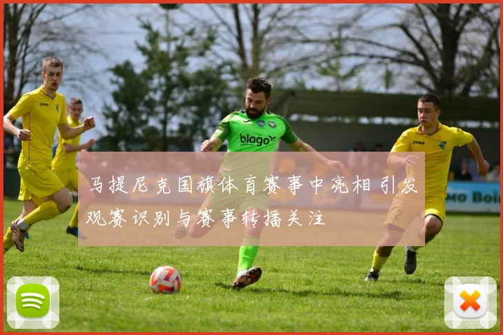 马提尼克国旗体育赛事中亮相 引发观赛识别与赛事转播关注