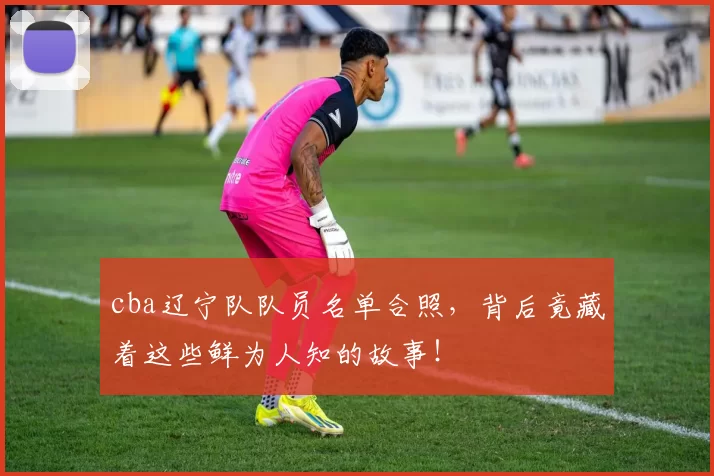 cba辽宁队队员名单合照，背后竟藏着这些鲜为人知的故事！