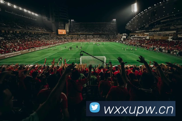 开云·kaiyun体育(中国)官方网站 - 登录入口平台生态图